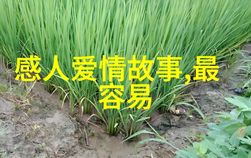 防忽悠能力